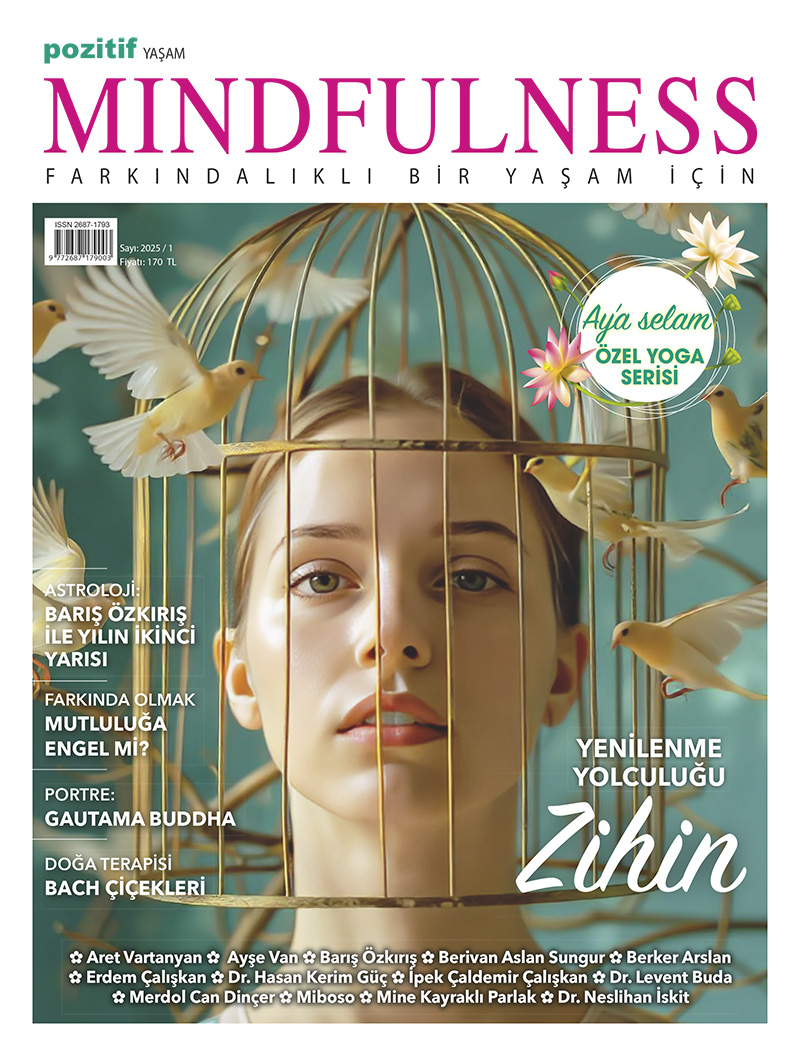 mindfulness 2025-01 kapağı
