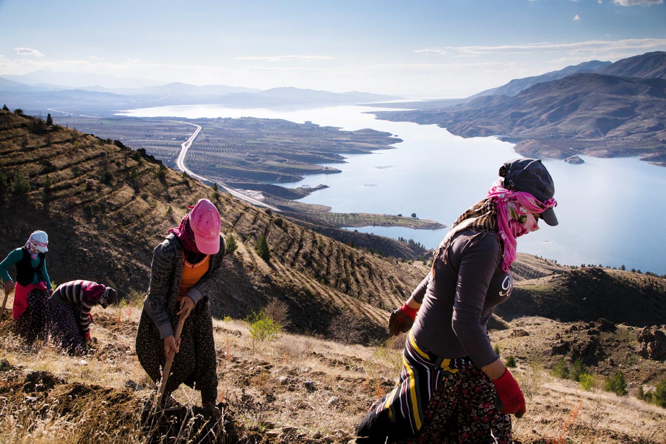 Dicle ile Fırat’ın Aşireti